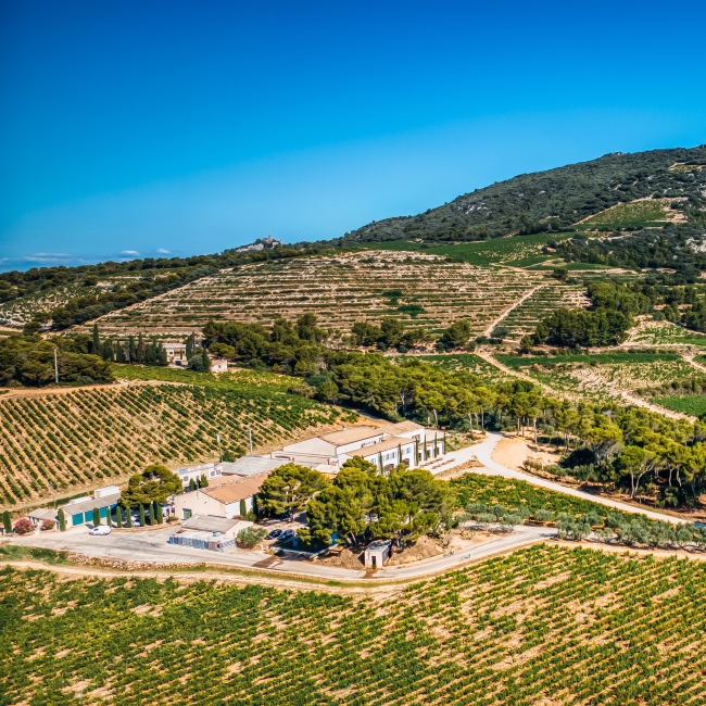 DC-Photographe(c)MorganPalun-0075 carré